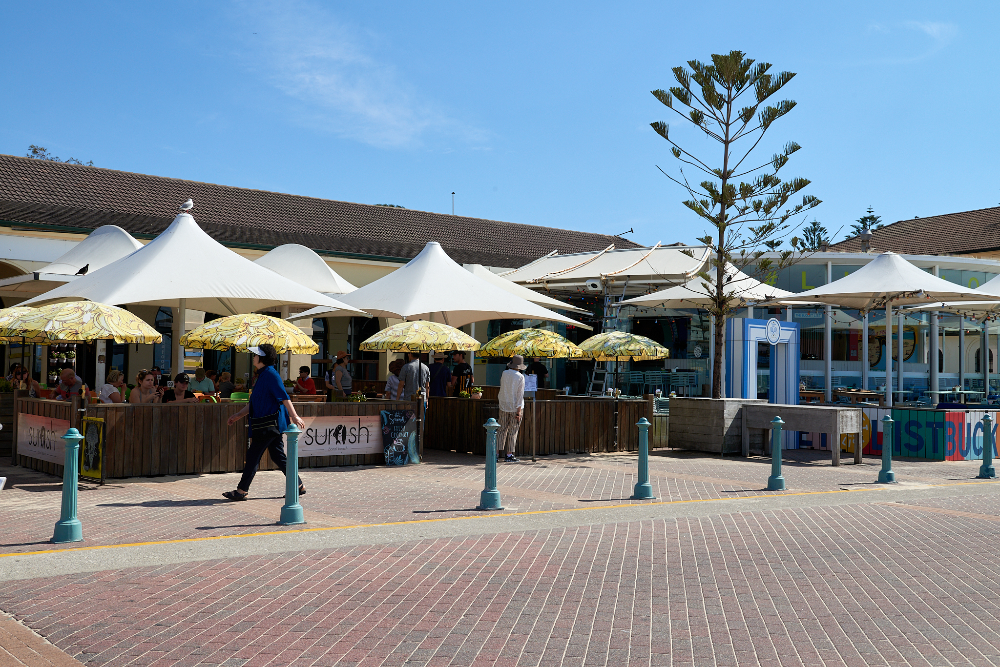 20180124 080 호주 본다이 공원